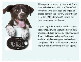 Dog License Information