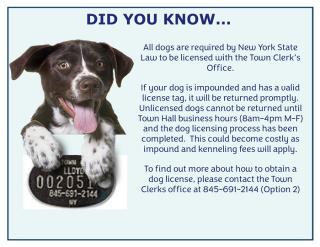 Dog License Information